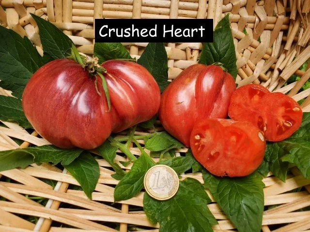 Crushed Heart