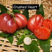 Crushed Heart