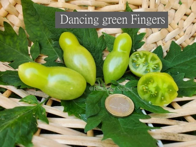Dancing green Fingers