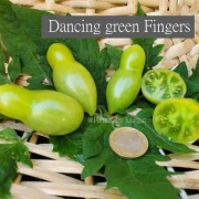 Dancing green Fingers