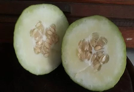 Die Limelone ist eine neue Melonen Art