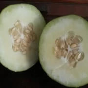 Die Limelone ist eine neue Melonen Art