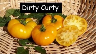 Dirty Curty