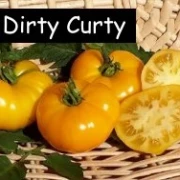 Dirty Curty