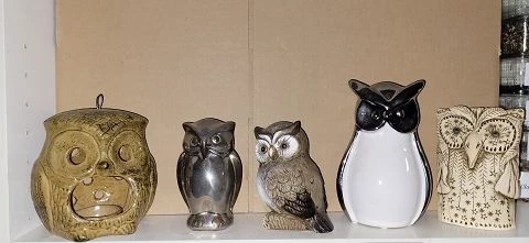 Eulen Sammlung