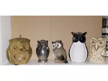 Eulen Sammlung