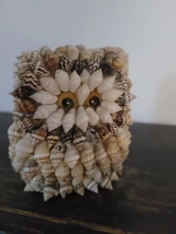Eulen Sammlung
