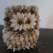 Eulen Sammlung