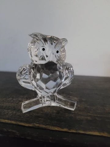 Eulen Sammlung