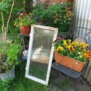 Fenster