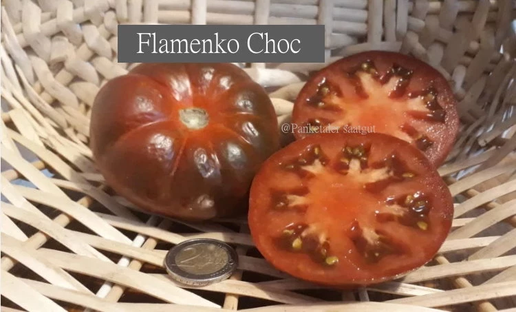 Flamenko Choc