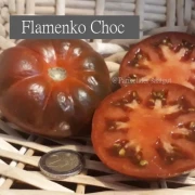 Flamenko Choc
