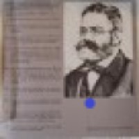 Fritz Reuter / ein Jahrhundert danach