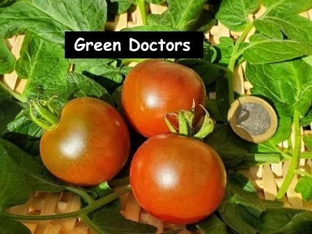 Green Doctors
