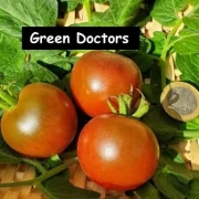Green Doctors