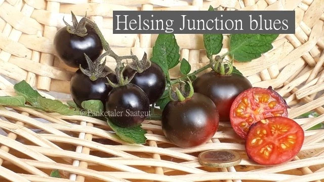 Helsing Junction Blues -  Cocktailtomate