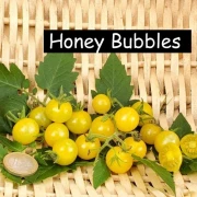 Honey Bubbles