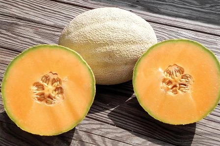 Honigmelone, cucumis melo var. inodorus