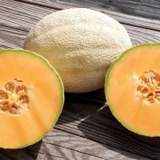 Honigmelone, cucumis melo var. inodorus