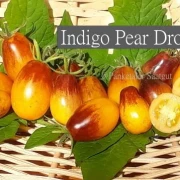 Indigo Pear Drops