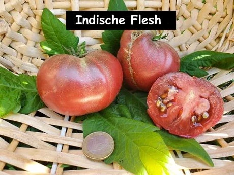 Indische Flesh