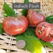 Indische Flesh