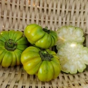 Jacato (Aubergine aus Afrika)