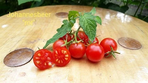 Johannesbeer rot