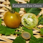 Kangaroo Paw Green