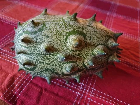 Kiwano-Horngurke
