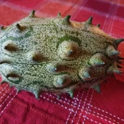 Kiwano-Horngurke