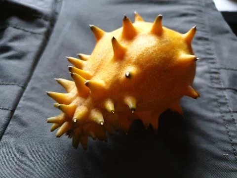 Kiwano-Horngurke