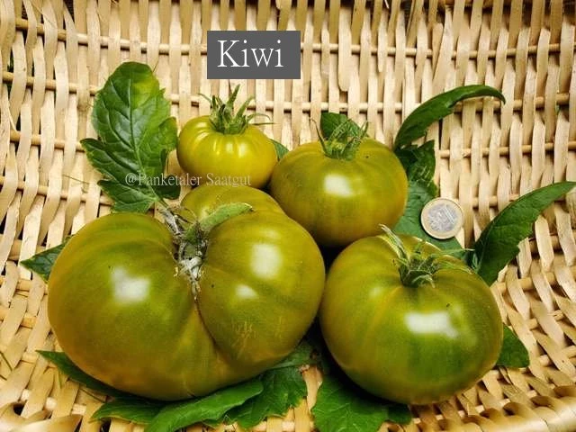Kiwi-Tomate