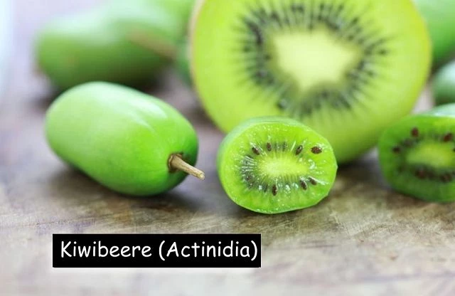 Kiwibeere