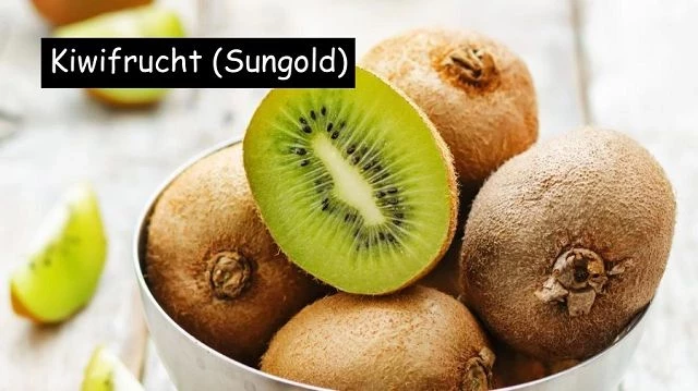 Kiwifrucht Sungold