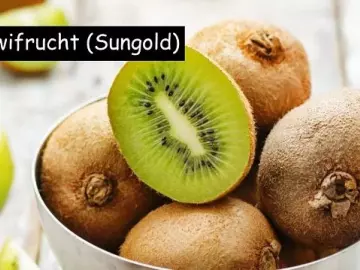 Kiwifrucht Sungold