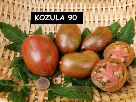 Konzula 90 (Erbstücktomate)