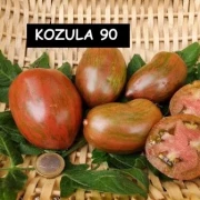 Konzula 90 (Erbstücktomate)