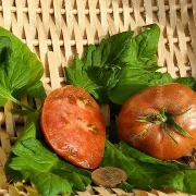 Konzula 90 (Erbstücktomate)