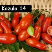 Kozula 14