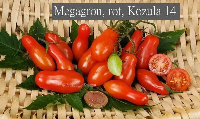 Megagron - Kozula 14