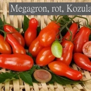 Megagron - Kozula 14