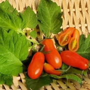 Megagron - Kozula 14