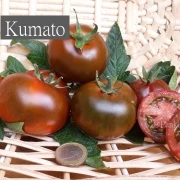 Kumato