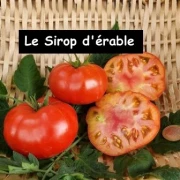Le Sirop d'érable