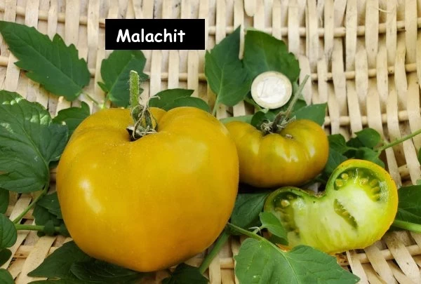 Malachit Schatulle