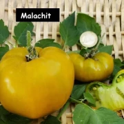Malachit Schatulle