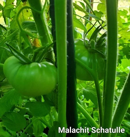 Malachit Schatulle
