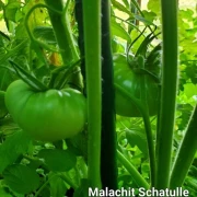 Malachit Schatulle