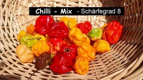 Chilli  Habanero - Mix